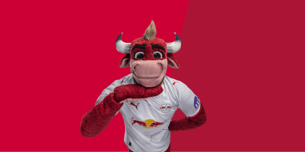 Cover Eltern-Kind-Fahrt nach Hoffenheim