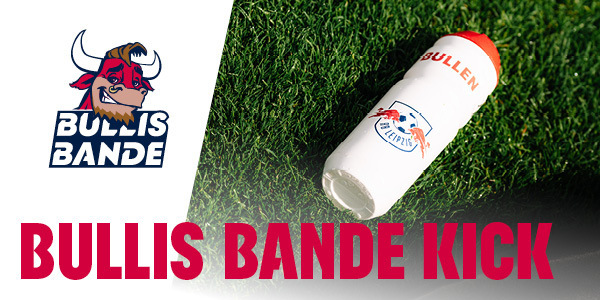 Cover Bullis Bande Kick