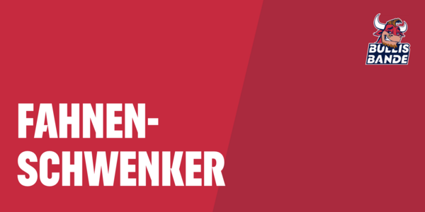 Cover Fahnenschwenker gegen TSG Hoffenheim