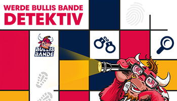 Cover Bullis Bande Detektive